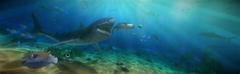 50 Games Like Feed and Grow: Fish for Playstation 4.
